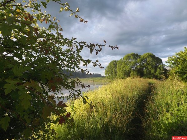 Июньские пейзажи фото