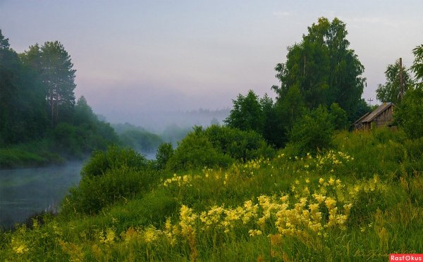 Владимир Громов фотограф