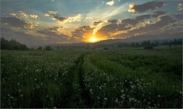 Раннее утро