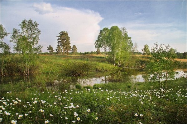 Пейзаж начало лета