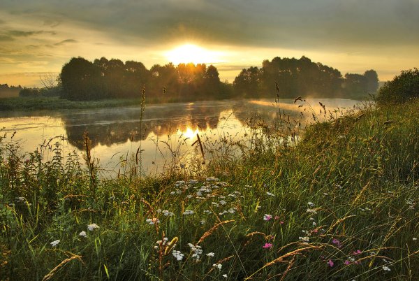 Июльский рассвет