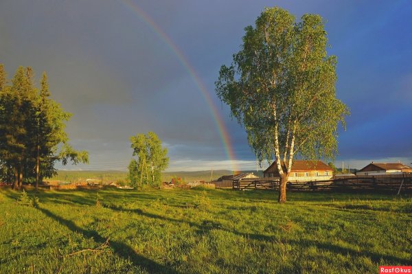 Простой июньский пейзаж