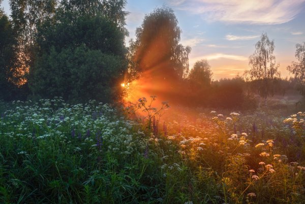 Виталий Полуэктов фотограф