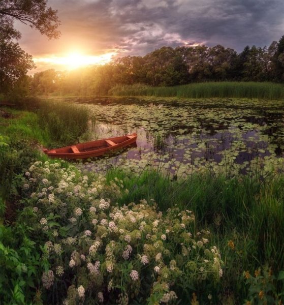 Палусские Луга