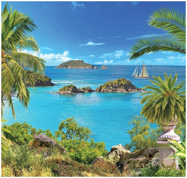 Море пальмы