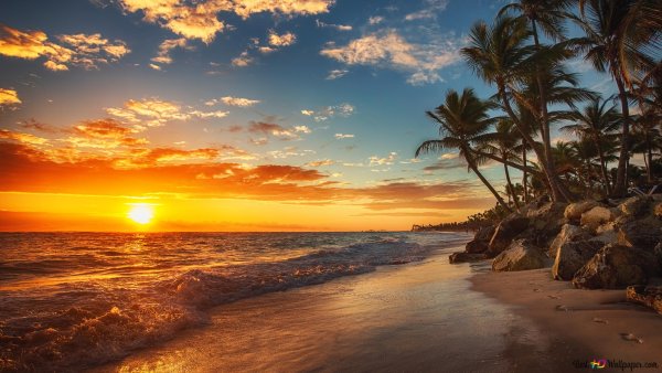 Телевизор CENTEK CT-8243 43"