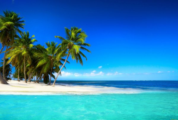 Берег тропического острова