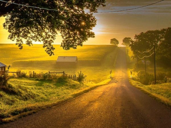 Дорога в деревне