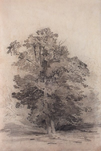 Вид в селе Кунцево Саврасов