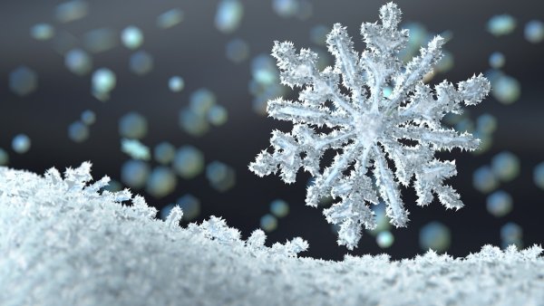 Снежинки иней