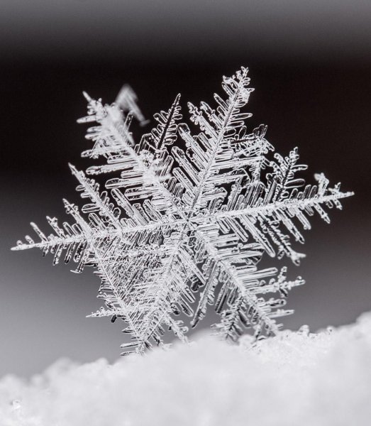 Снежинки зимой