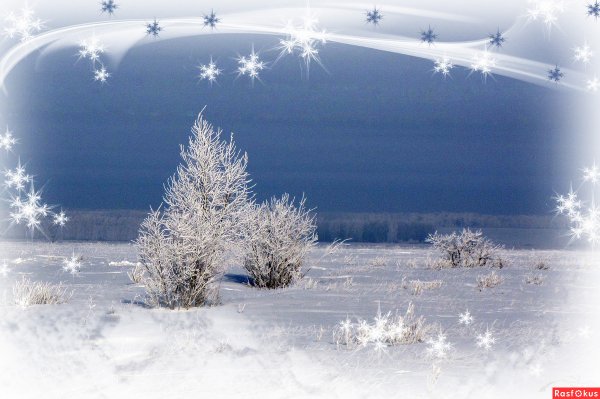 Снежинки падают на землю