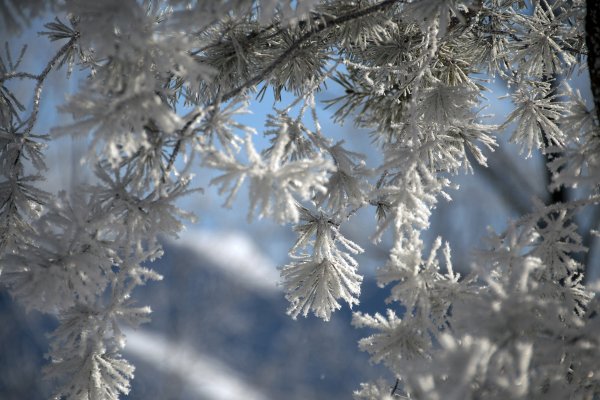 Снежинки в природе