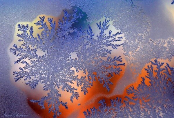 Зимнее кружево