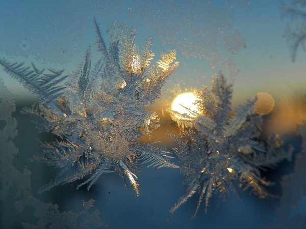 Снежинка на солнце