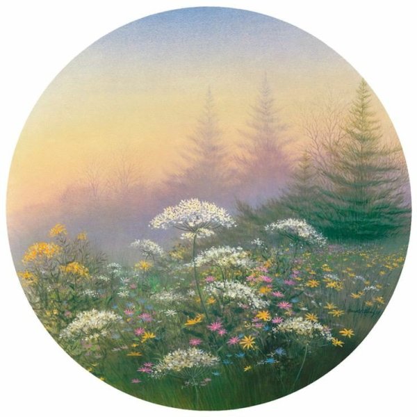 Арнольд Аланиз художник