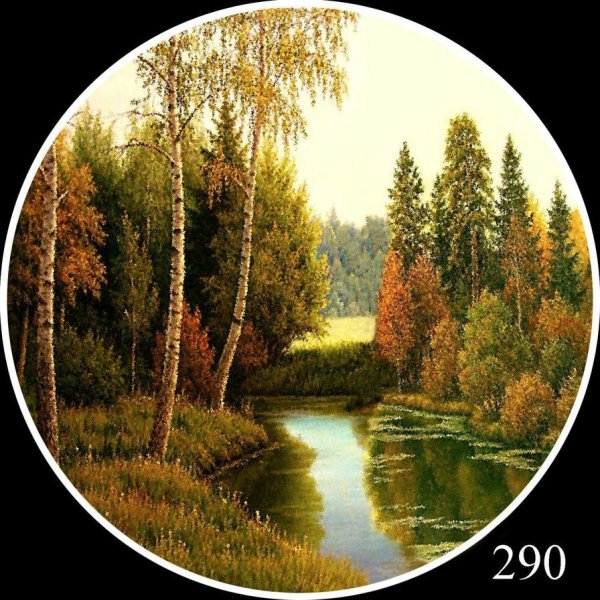 Овал в природе