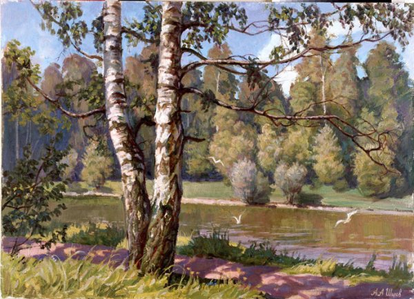 Киселев Александр Александрович пейзаж с березами