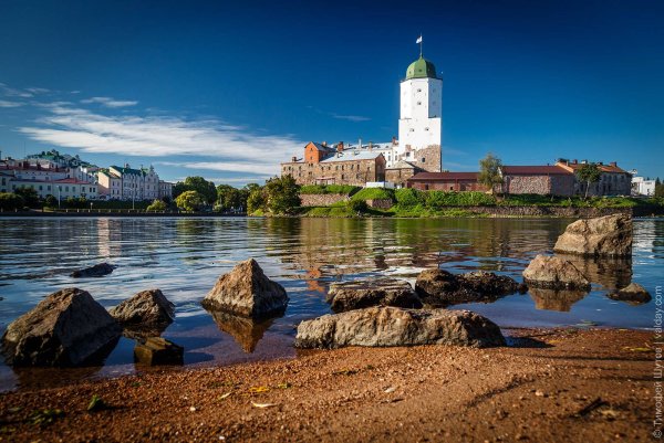 Монрепо парк Выборг пасмурная