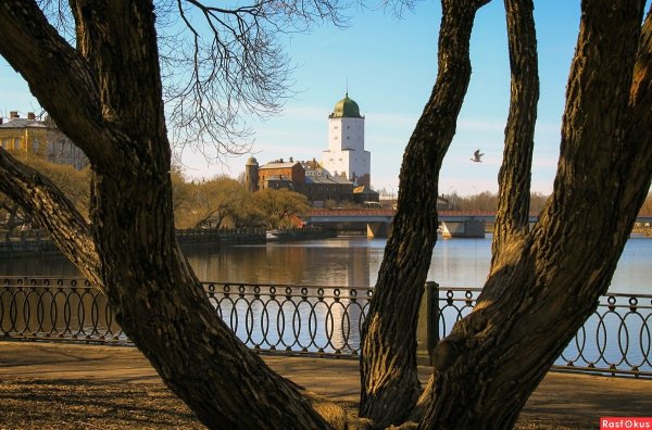 Выборг осенью башня