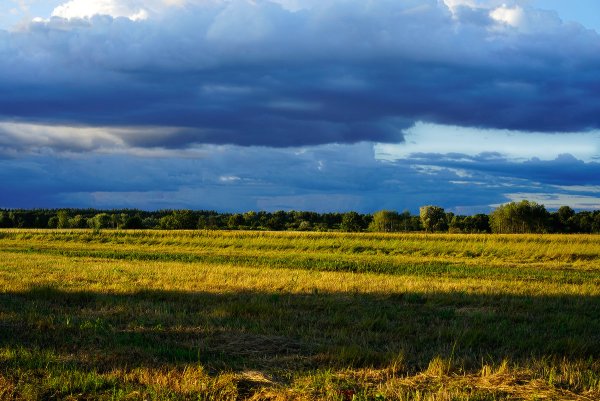 Бежин луг вечер