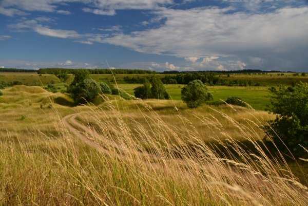 Бежин луг Орловская область