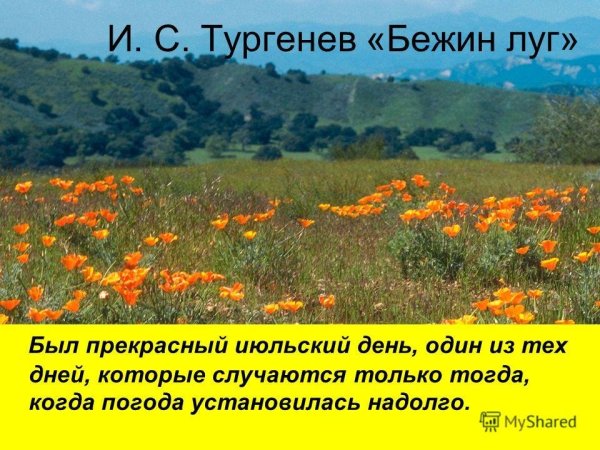 Прекрасный июльский день Бежин луг