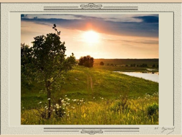 Прекрасного июльского дня