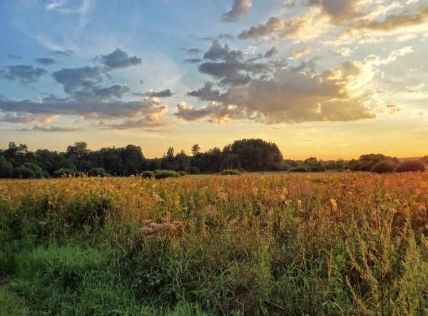 Пейзаж Бежин луг Тургенева