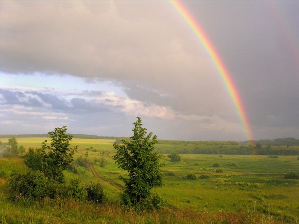 Бежин луг картины природы
