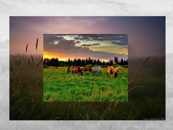 С самого раннего утра небо ясно Утренняя Заря не пылает