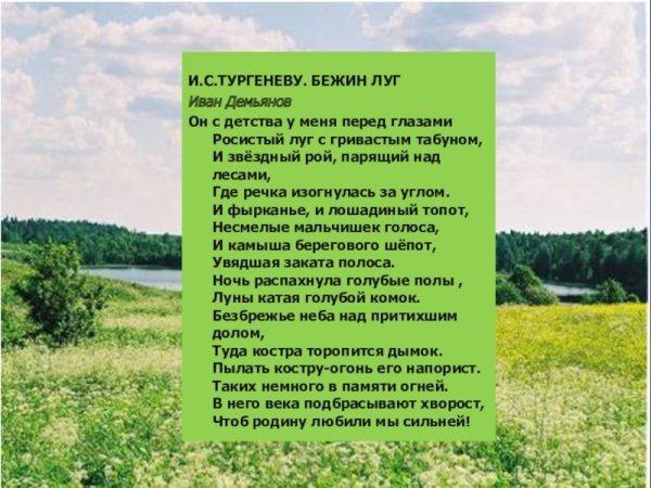 Тургенев Бежин луг презентация