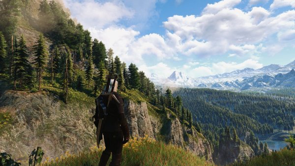 Ведьмак 3 природа Скеллиге