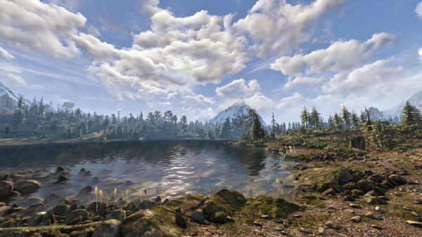 Ведьмак Скеллиге пейзаж