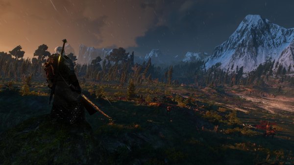 Ведьмак 3 Дикая охота Скеллиге