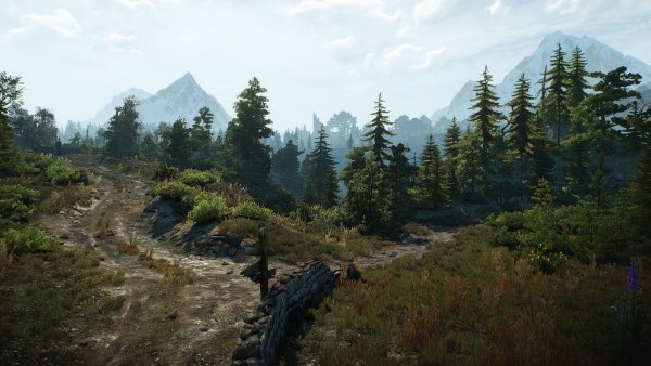 АРД Скеллиге Ведьмак 3