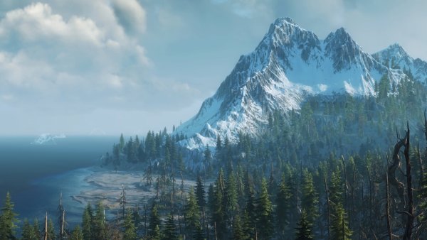 Witcher 3 Скеллиге лес