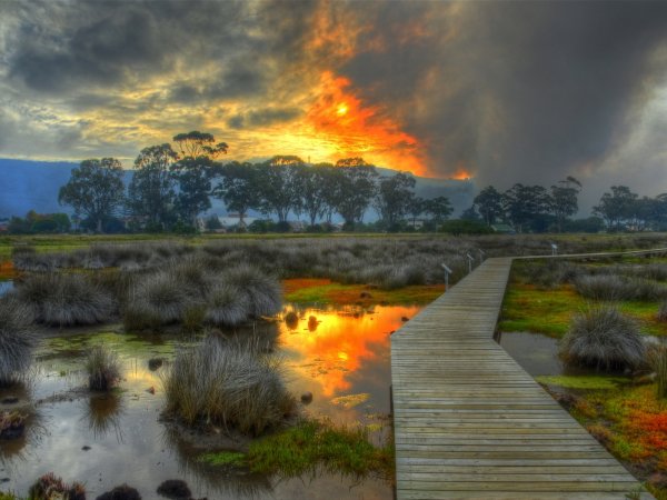Княжий мост болото