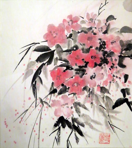 Цветущая вишня гохуа