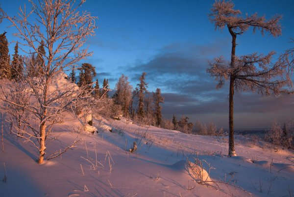 Новоуральск Свердловская область разнообразие природы