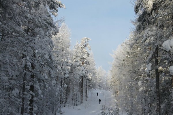 Новоуральск панорама