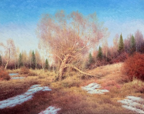 Дарчук Ольга сирень