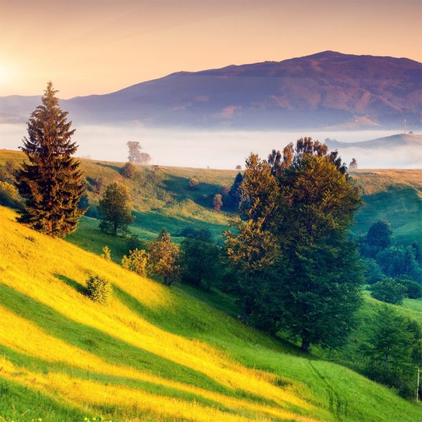 Красивый пейзаж