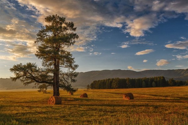 Уймонская Долина