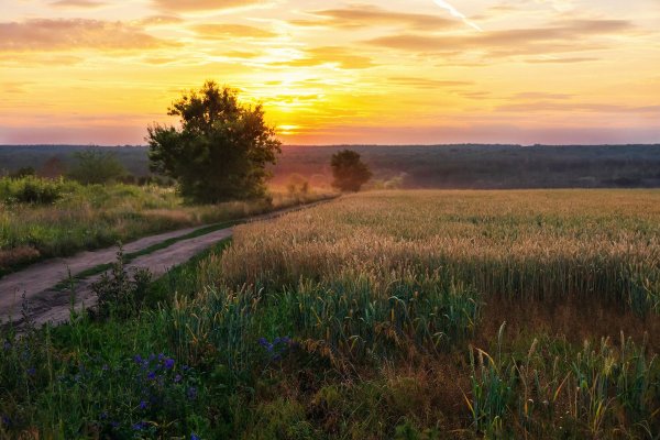 Рассвет летом