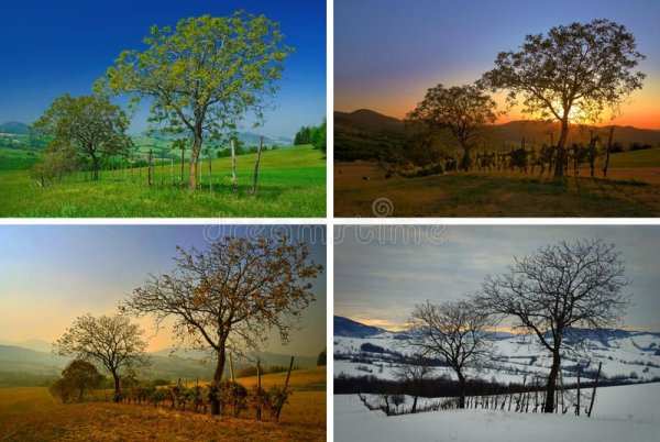 Пейзаж при разном освещении