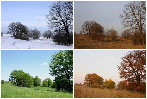 Пейзаж в Разное время суток