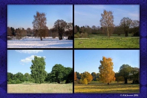 Пейзаж с разным освещением