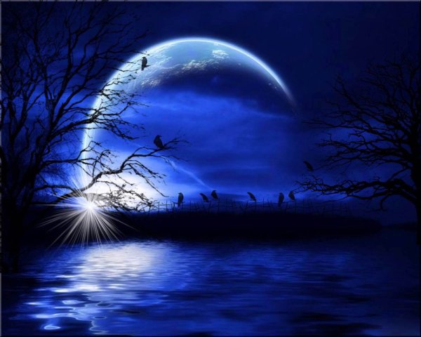 Даррелл Буш закат