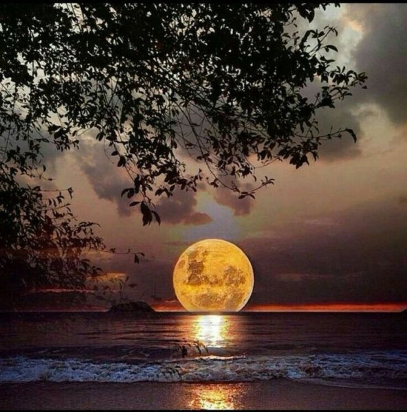 Художник Джим Гензель